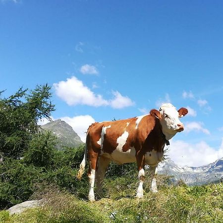 Simiterhof Daire Matrei in Osttirol Dış mekan fotoğraf