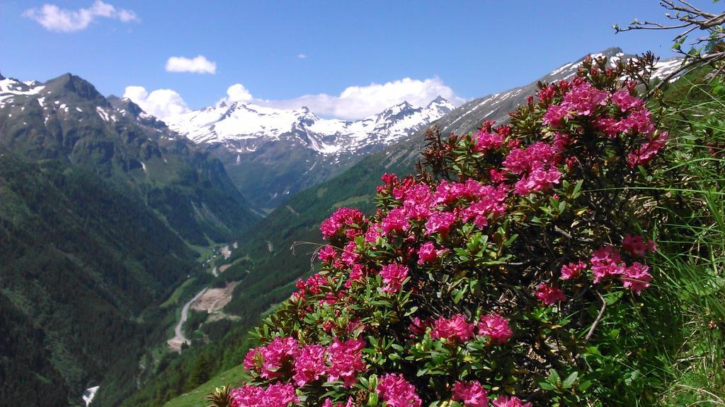 Simiterhof Daire Matrei in Osttirol Dış mekan fotoğraf