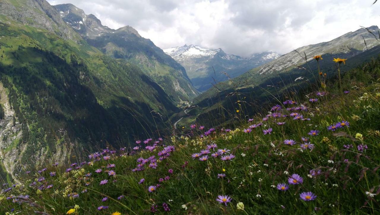 Simiterhof Daire Matrei in Osttirol Dış mekan fotoğraf